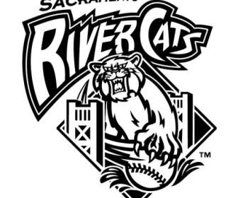 Sungai Sacramento Kucing