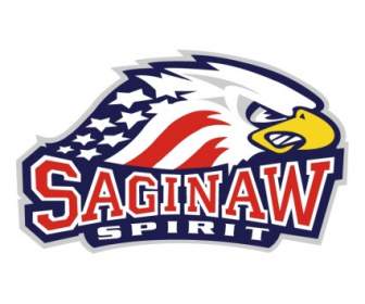 Spirit De Saginaw