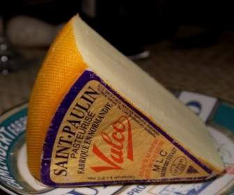 Saint Paulin Käse Milch Produkt Lebensmittel
