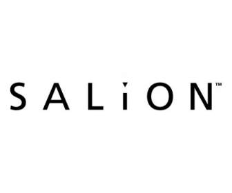 Salion