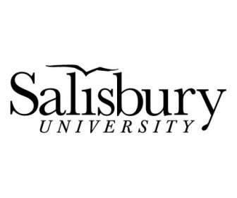 Universitas Salisbury