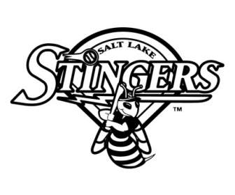 Salt Lake Stingers