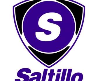 Saltillo のホテル