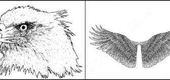 Sample File From Hand Drawn Wings Eagle And Skull Vector And Photoshop Brush