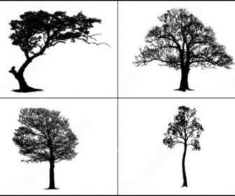 Exemplo De Arquivo De Brush De Vetor E Photoshop Mestre árvore