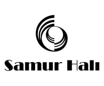 Hali Samur