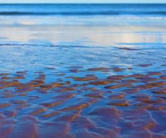 Textura De Areia E O Mar