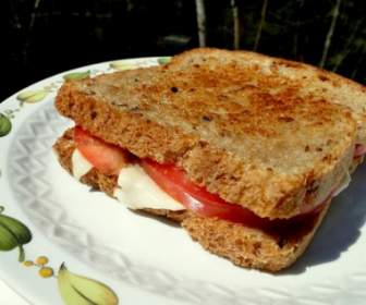 sandwich food grilled cheese