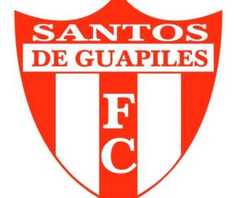 多斯桑托斯足球俱樂部 De 瓜皮萊斯