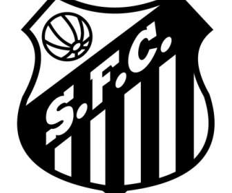 Santos Futebol Clube De เซา Borja อาร์เอส