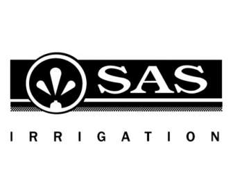 Irrigação De SAS
