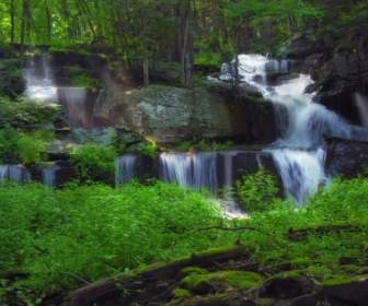 Sawkill Falls Wallpaper Waterfalls Nature