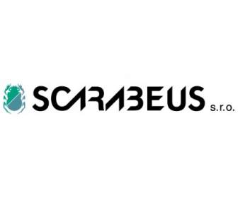 Scarabeus