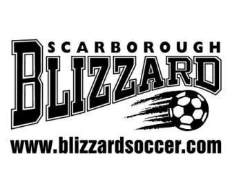 Fútbol De Blizzard Scarborough