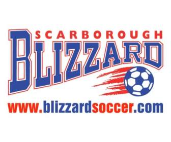 Scarborough Blizzard Fußball