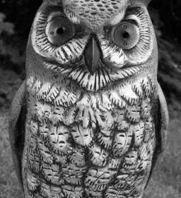 Scare Owl