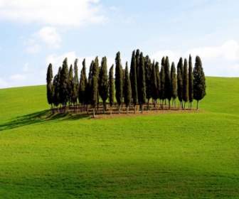 Scenic Siena Province Wallpaper Italy World