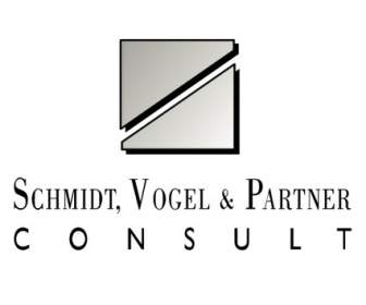 Consult De Parceiro De Vogel Schmidt
