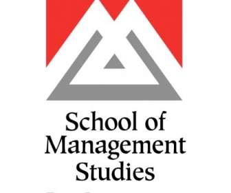 School Of Management Studies