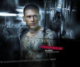 Scofield Tapete Gefängnis Pause Filme