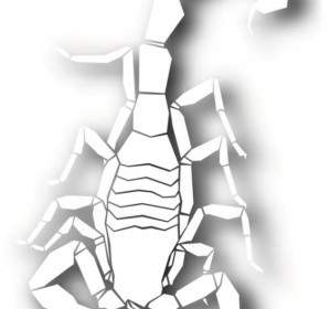 Vettore Di Sagoma Papercut Scorpione