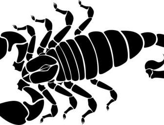 Scorpion Vector Image