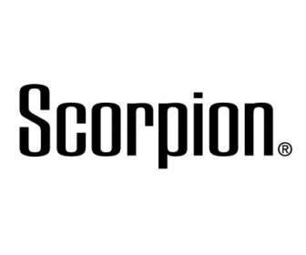 Scorpoion