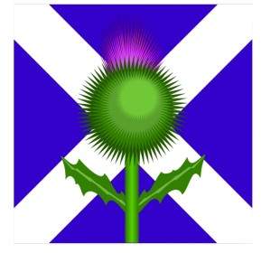 Scottish Thistle And Flag