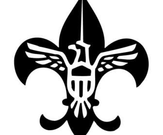 Scoutisme Usa