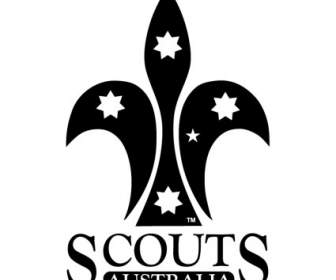 Scout Australia