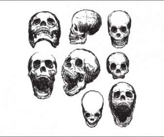 Cráneos De Garabato