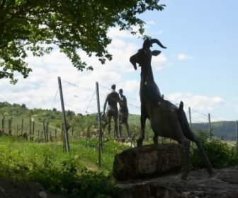 Скульптура виноградник вина