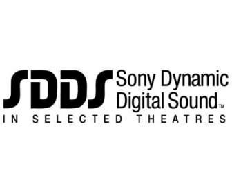 NEDD Sony Dynamic Digital Sound