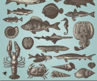 魚介類の動物のベクトル