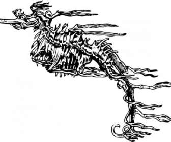Seahorse Skeleton Clip Art