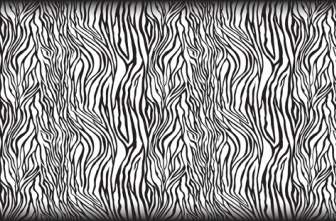Mulus Zebra Pola Vektor
