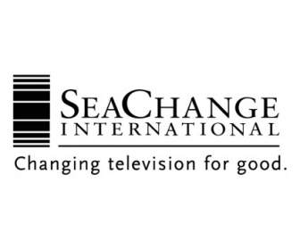 Seechange International