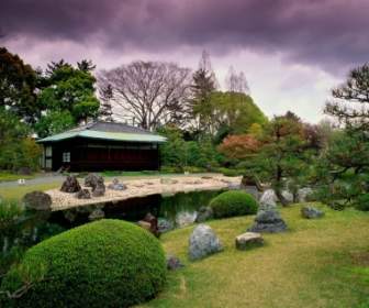 Mundial De Japón De Jardín Papel Pintado Seiryuen