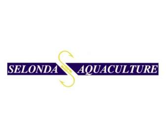 Selonda Aquacultures