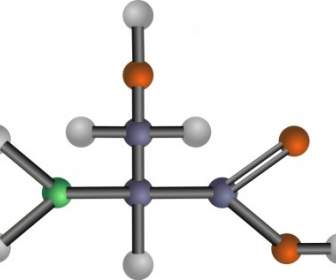 セリン アミノ酸