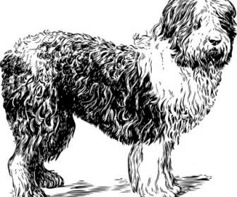 羊犬のクリップアート