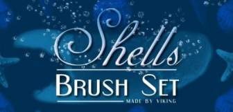 Shell Brushes