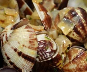 Shell Comer Frutos De Mar