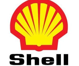 Shell Shell Logo Vektor