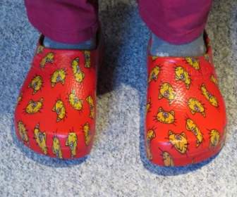 Shoe Slipper Clog