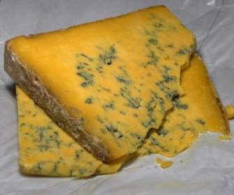 shropshire blue cheese blue mold mold