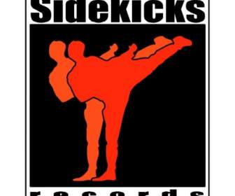 سجلات Sidekicks