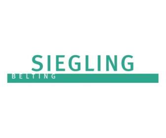 Siegling Cinghie