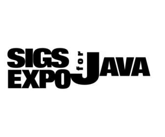 เอ็กซ์โป Sigs สำหรับ Java