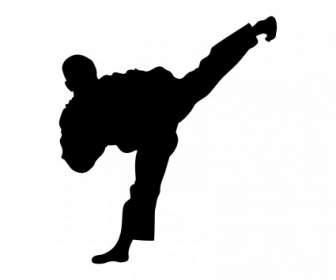 Silueta Taekwondo